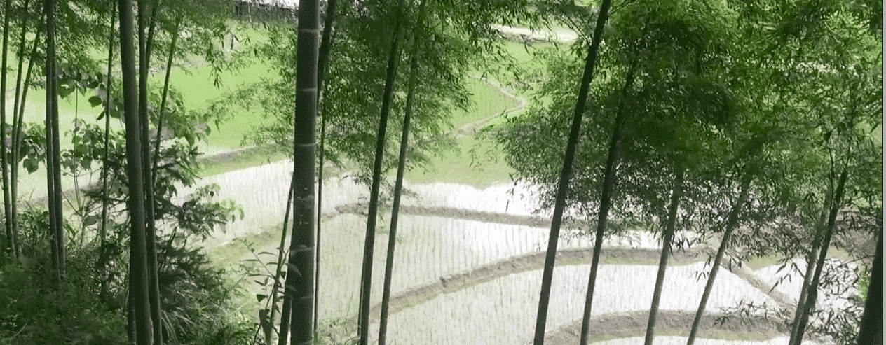 Pourquoi nos produits sont fabriqués à l’étranger