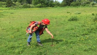 OLA Bamboo a planté son 1000e arbre!