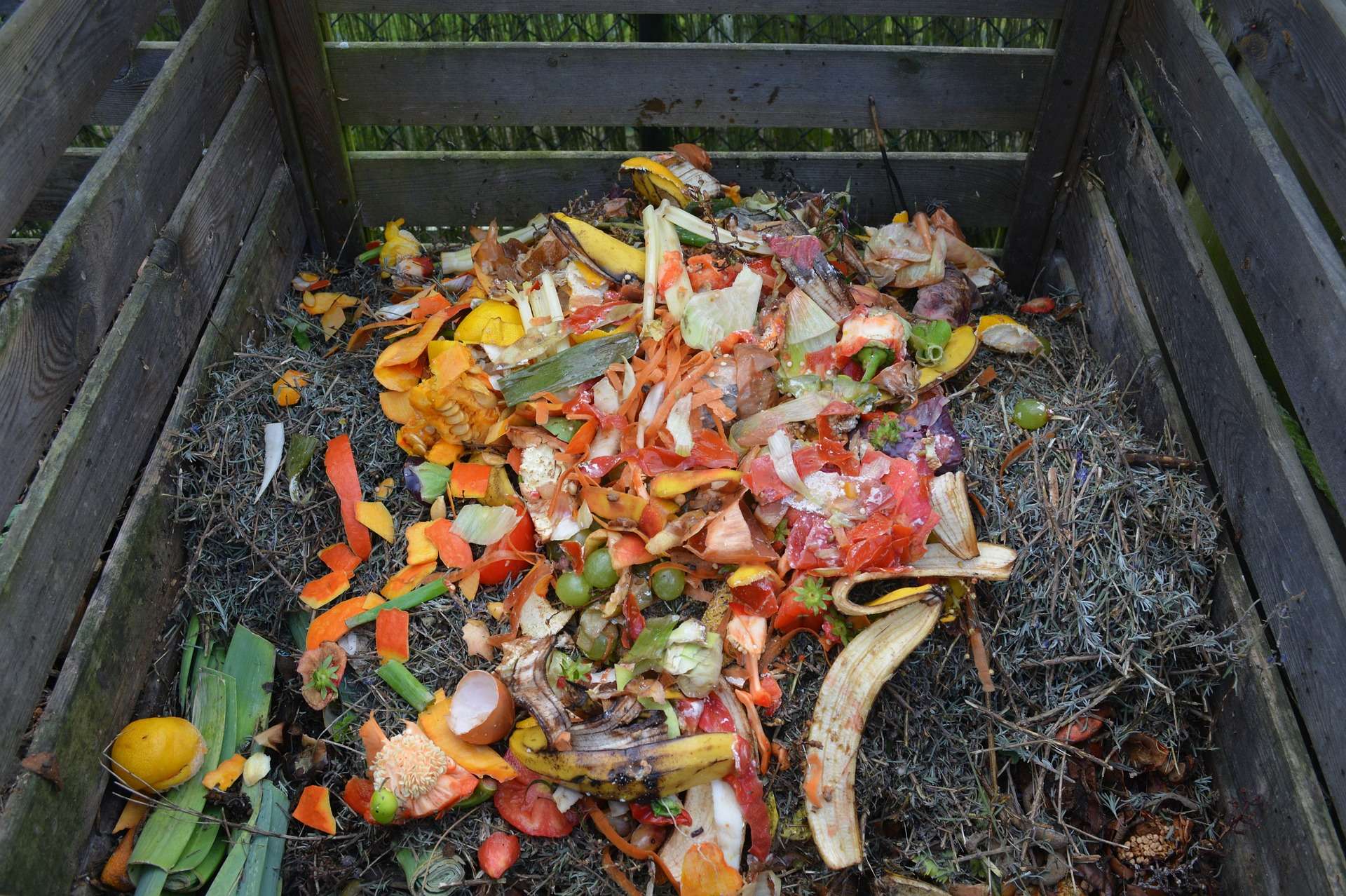 Le compost: quand on peut se simplifier la vie