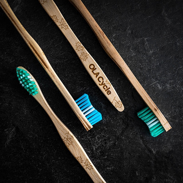 4-Pack maple wood toothbrush - OLA Cycle