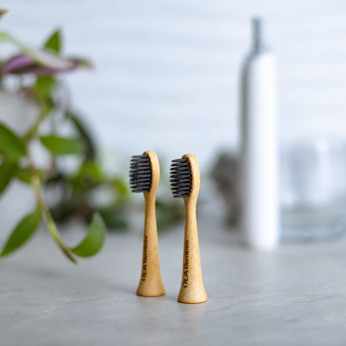 Pack of 2 brush heads for Philips Sonicare electric toothbrush.
