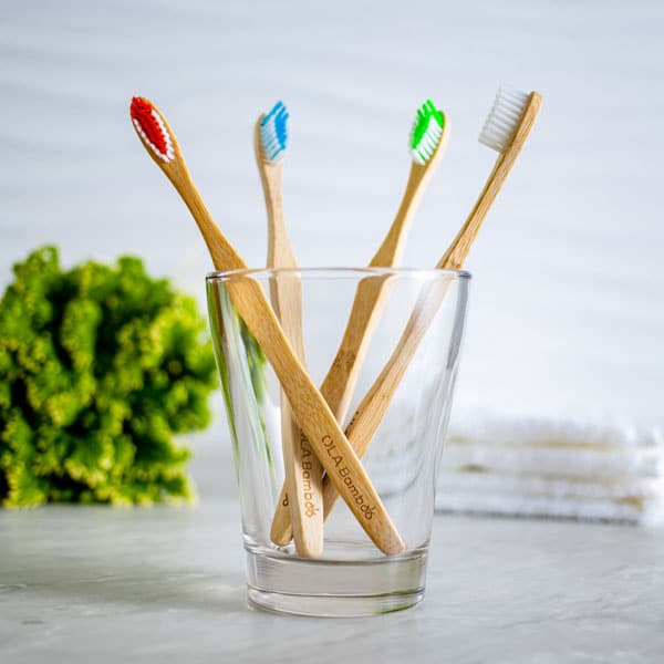 4-pack toothbrushes