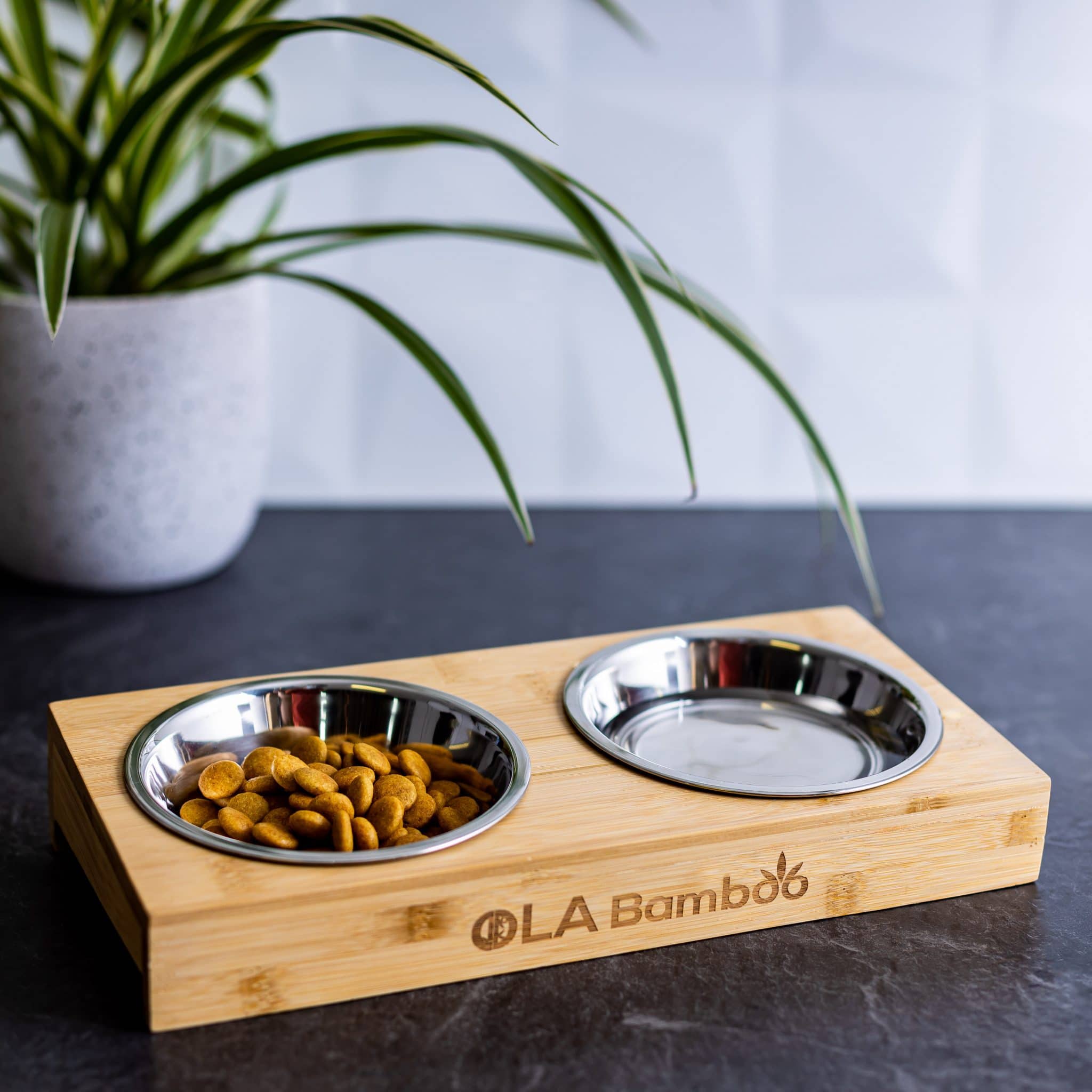 Pet bowls with Bamboo Stand