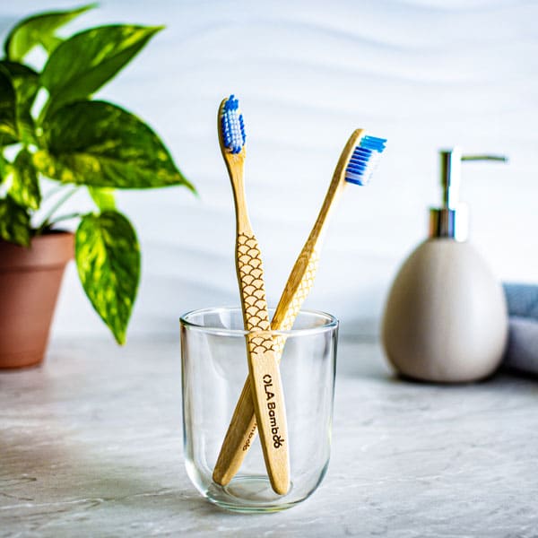 2-Pack OLA Tech toothbrushes